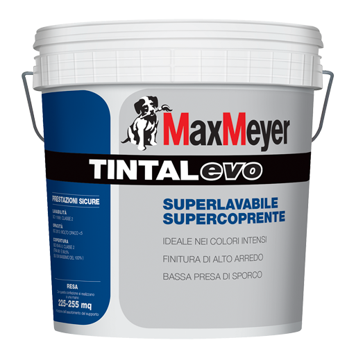 Tintal Evo
