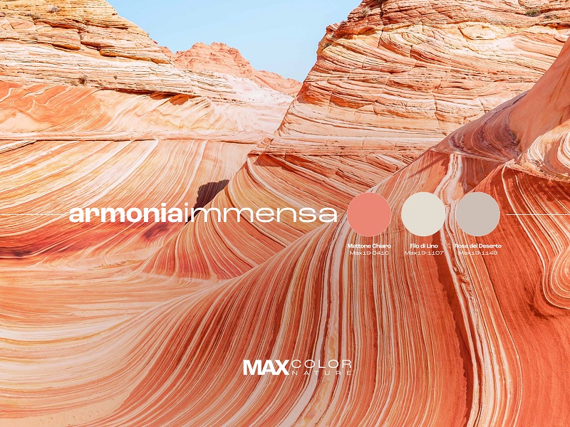 banner-immensa